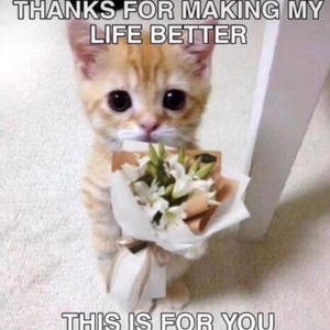 Sorry Mama (Dream DJ Team Edit)