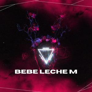 BEBE LECHE M