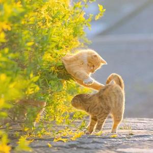 别辜负眼前季节