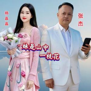 妹是山中一枝花送郎调
