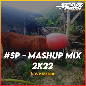 Dj mashup mix 2022k (Mengkane)