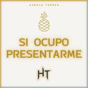 Si Ocupo Presentarme