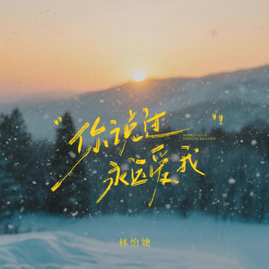 你说过永远爱我
