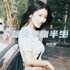 不就是平庸半生
