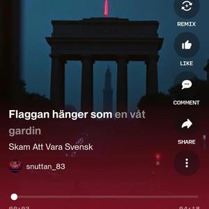 Skam att vara svensk