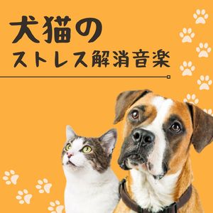 犬のお風呂ＢＧＭ