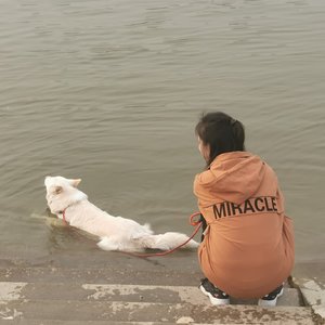 老婆说的都是对的