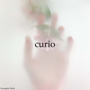 Curio