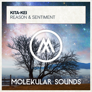 Reason & Sentiment (Extended Mix)