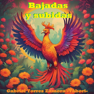Bajadas y Subidas