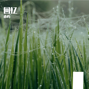 褪色诺言下的回忆