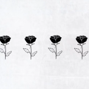 ニビイロドロウレ