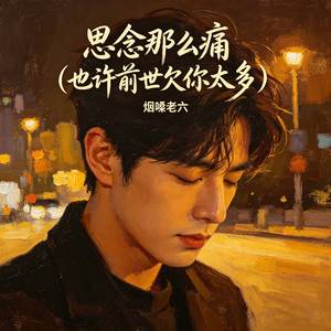 思念那么痛（也许前世欠你太多）