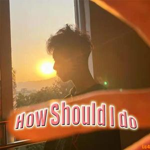 How Should i do（Lc4 version）