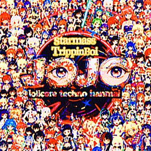 玄武盾斩月刀刀刀刀刀