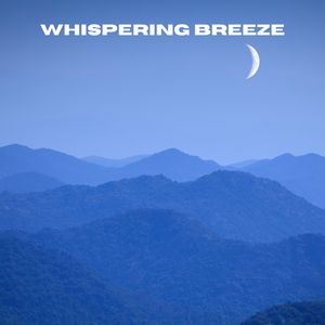 Shroud of Serenity (Loopable, No Fade)