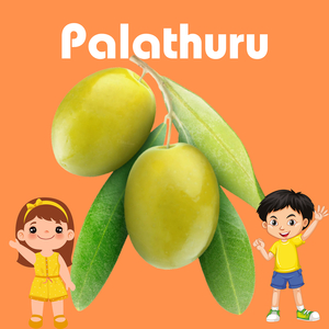 Palathuru