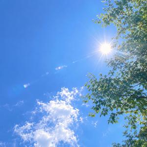 夏の終わりに消える光