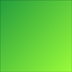 B.O.T.A. (Cover)
