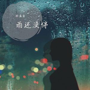 雨还没停