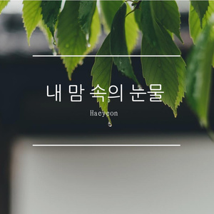 내 맘 속의 눈물