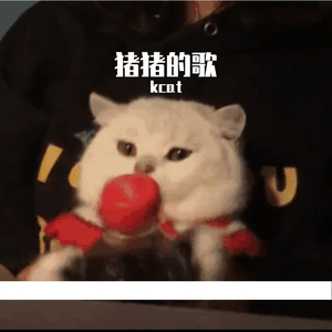 写给猪猪的歌(Prod.By ELongHever)