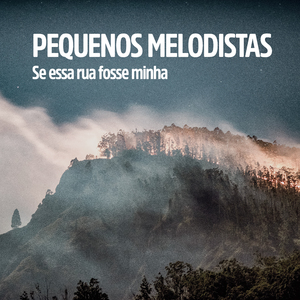 Se essa rua fosse minha