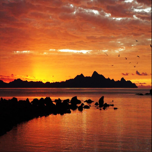 Road to the Sky of Love, Gentle Guitar Meditation Music (feat. Shakti Ros & Ana Svet)