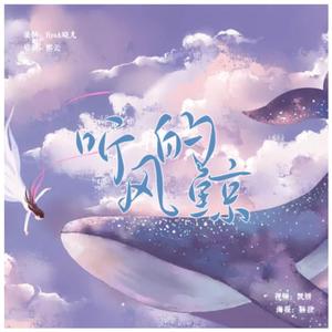 听风的鲸