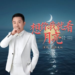 想你我就看月亮 (DJ版伴奏)