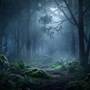Sacred Silence