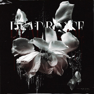 deadrose (Ultra Slowed)