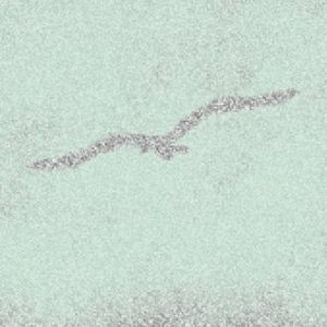 白鸟过河滩（Cover ilem/洛天依）