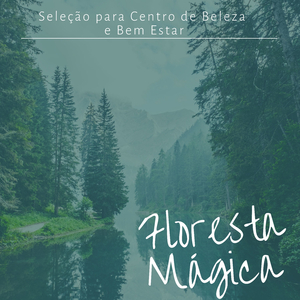 Benefícios da Meditação