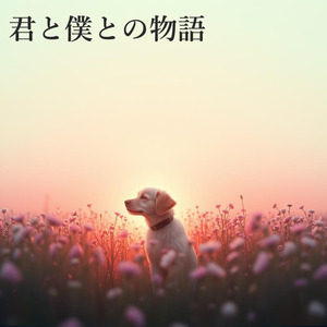 君と僕との物語