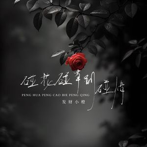 碰花碰草别碰情