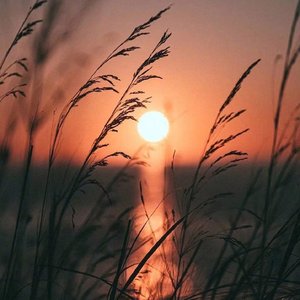 不问来世只愿今生