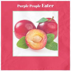 Blue Ridge Mountain Home