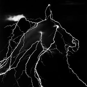 心脏掉进海洋被撕裂