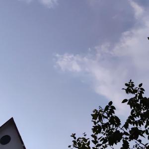 not my wrong（翻自 OneBoi万赛文）