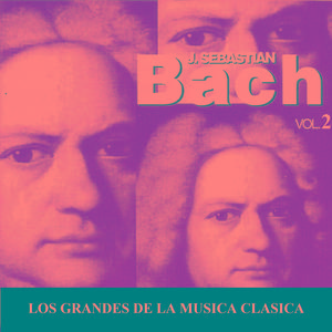 Concerto for 2 Violins in D Minor, BWV 1043: I. Vivace