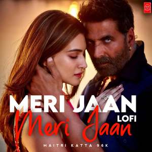 Meri Jaan Meri Jaan LoFi