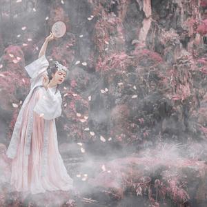 红色蜻蜓（remix）