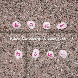 桜の花が散る頃に