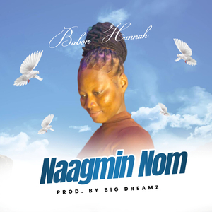 NAAGMIN NOM