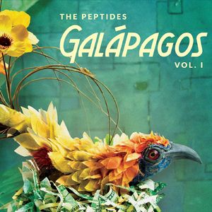 We Fell in Love for the Very Last Time