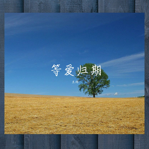 等爱归期