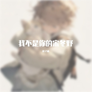 你不是我的宋冬野