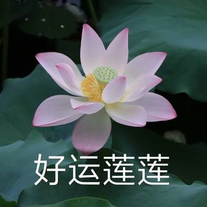 采莲（Prod.Averatec&Craybeats）