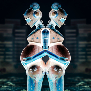 Assange (feat Rosa Brunello)